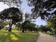 -墨尔本皇家植物园