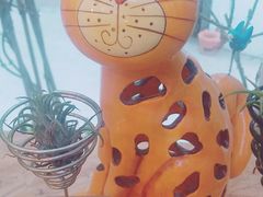 -拾壹cafe·工作室