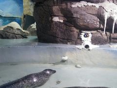-南昌海洋公园