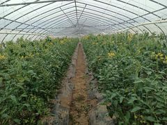 -上膳源有机农场