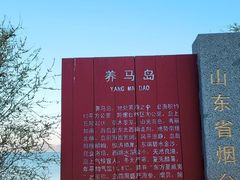 -养马岛旅游度假区