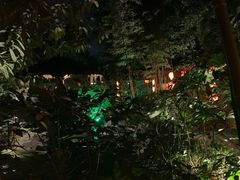 -西安国际创新人才交流中心•药浴温泉