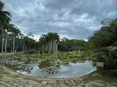 -中国科学院西双版纳热带植物园