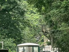 -山顶缆车