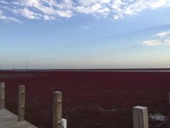 -红海滩国家风景廊道