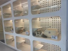 -comecome来吧宠物(奥克斯中心店)