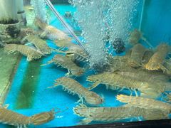 -九层海鲜塔(市南店)