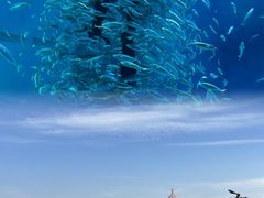 -巧克力渔家.小船海鲜家常菜(万平口店)