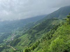 -紫鹊界梯田景区