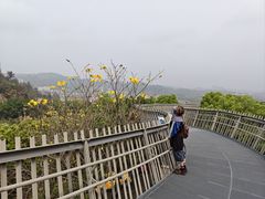 -福道