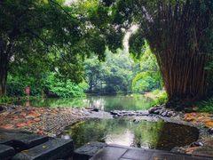 -成都市活水公园