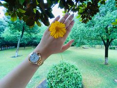 -天目湖御水温泉·度假酒店