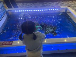 -卡通尼乐园(武汉凯德1818店)