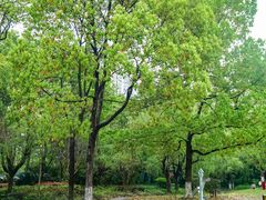 -苏州河梦清园环保主题公园