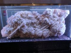 -湖南省地质博物馆