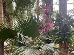 -石家庄市植物园