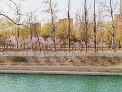 -坝河休闲公园