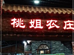 -桃姐农庄老字号(从化温泉店)