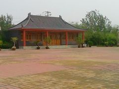 android_upload_pic-大港湿地公园