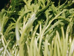 -蒙都43°9羊火锅·赤峰美食(宁城店)