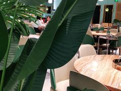 -春润大地海南椰子鸡(沙井京基百纳广场店)