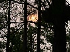 -东湖听涛景区
