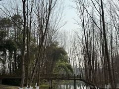 -桤木河湿地公园