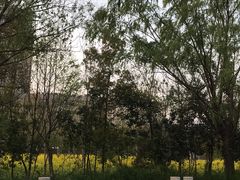 -河海大学(江宁校区)