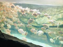 -泉城欧乐堡海洋极地世界