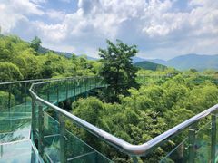 -陶祖圣境风景区