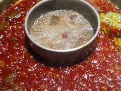 菌香鸳鸯锅-晓宇重庆火锅(大唐不夜城店)