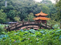 -富乐山