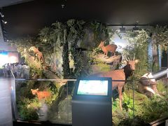 -四川大学博物馆