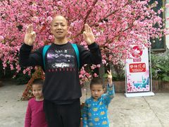 -观澜山水田园