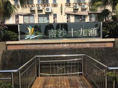 -大湾区中央湿地公园-十九涌