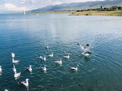 -青海湖国家重点风景名胜区