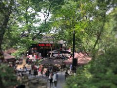 -兴福老面馆(寺路街店)