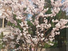 -中旅阿那亚九龙湖·公主酒店