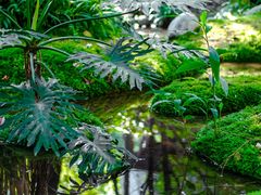 -成都市活水公园