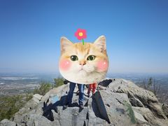 -鹫峰国家森林公园