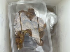 -老号尤兔头(幸福店)