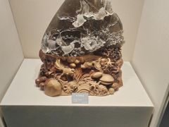 -安徽省地质博物馆
