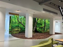 -极简口腔(总院)