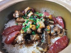 -红星光发煲仔饭(大石街店)