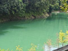 -广州市流溪河国家森林公园