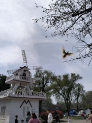 -玄武湖景区-情侣园游乐场
