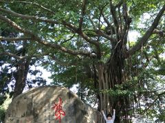 -乌山风景区
