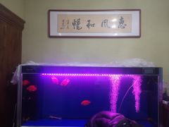 -塔兰齐新疆孜然火锅(鲤鱼山路店)