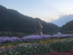 -广州市石门国家森林公园