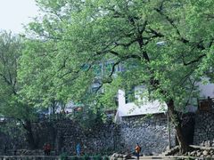-鹿亭中村